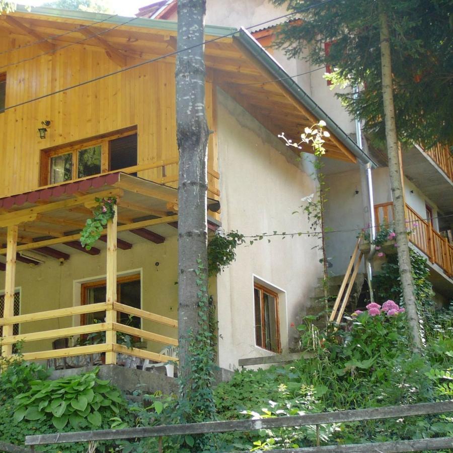 Mountain Sun Guest House Chiflik Bagian luar foto